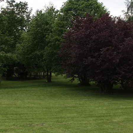 Lazurowa Prowansja - Toscana Apartmán