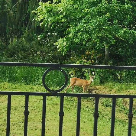Lazurowa Prowansja - Toscana Lejlighed