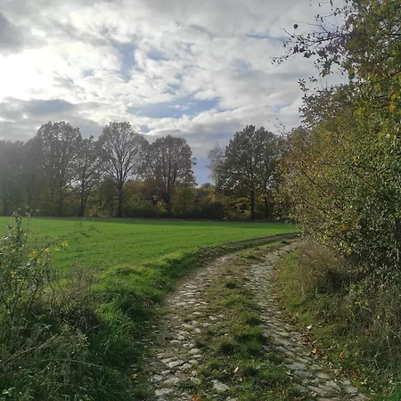 Apartamento Lazurowa Prowansja - Toscana