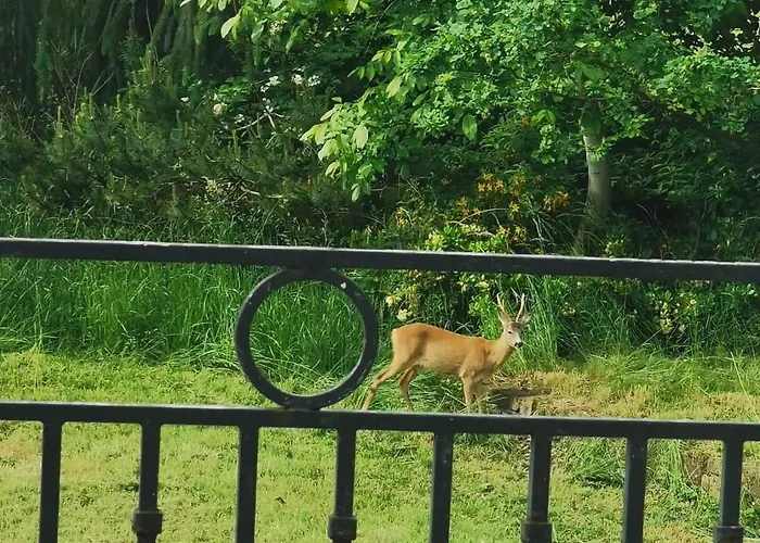 Lazurowa Prowansja - Toscana Apartman